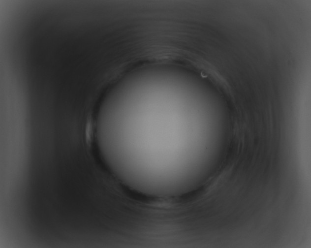 X0000100910076200806241059