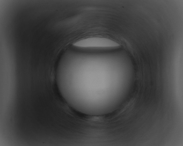 X0000100910081200806241059