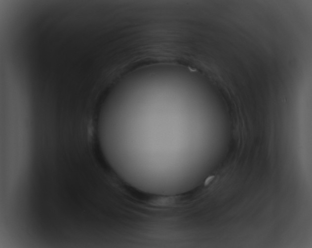 X0000100910084200806241059