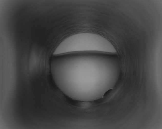 X0000100910085200806241059