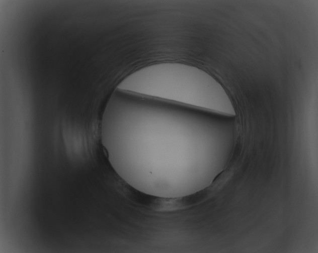 X0000100910093200806241100