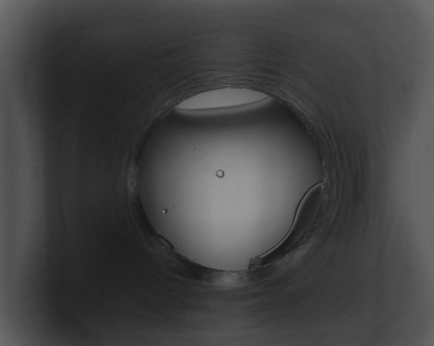 X0000100910096200806241100