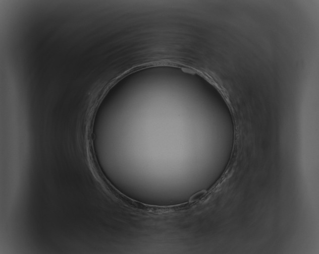 X0000100910097200806241059