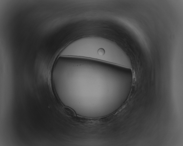 X0000100910099200806241059