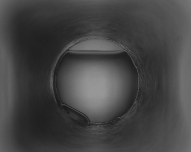 X0000100910100200806241059