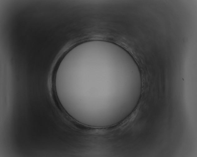 X0000100910102200806241059