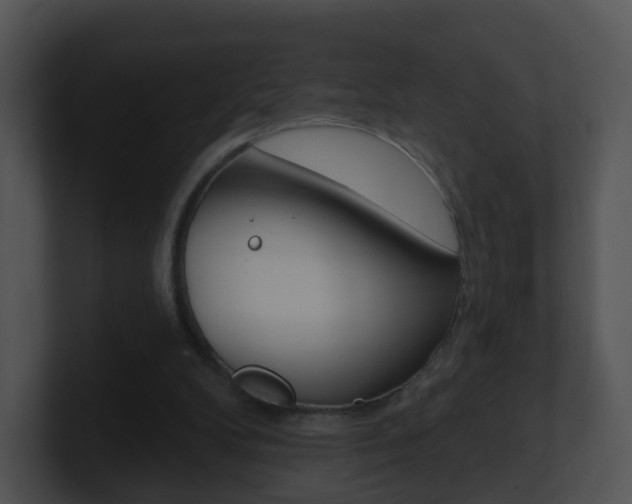 X0000100910104200806241059