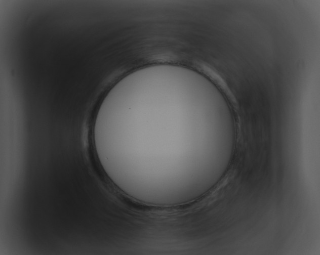 X0000100910106200806241059