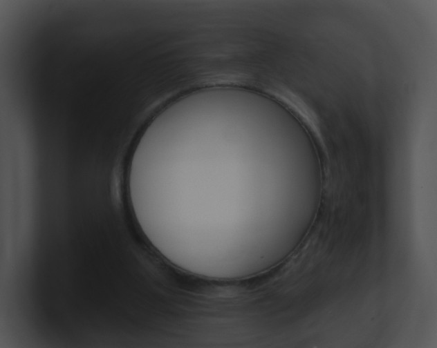 X0000100910107200806241059