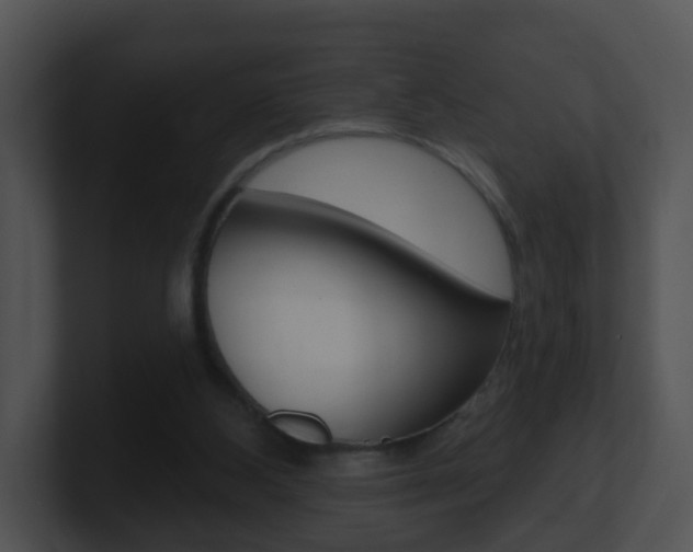 X0000100910108200806241059