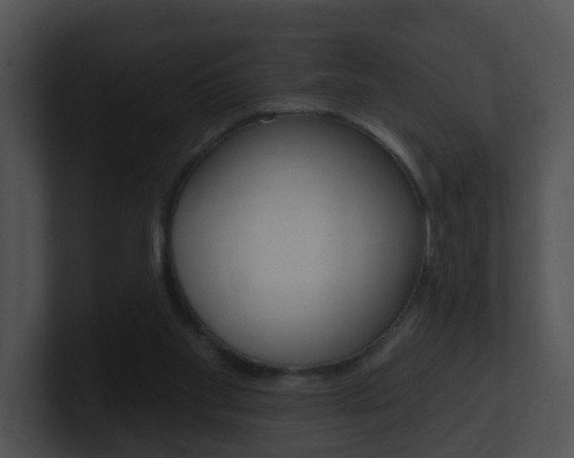 X0000100910109200806241059