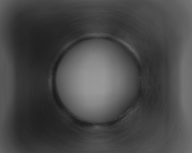 X0000100910111200806241059
