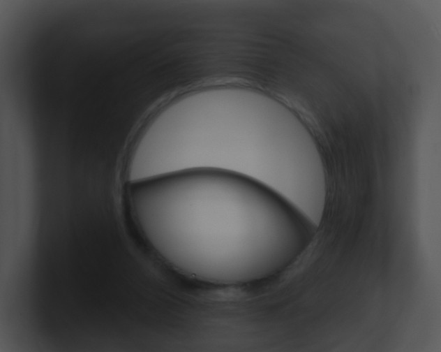 X0000100910112200806241059