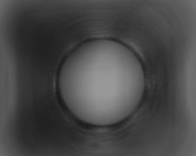 X0000100910115200806241059