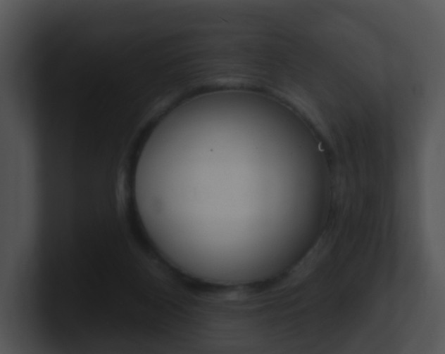 X0000100910116200806241059