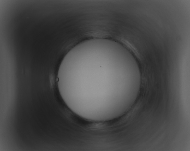 X0000100910117200806241059