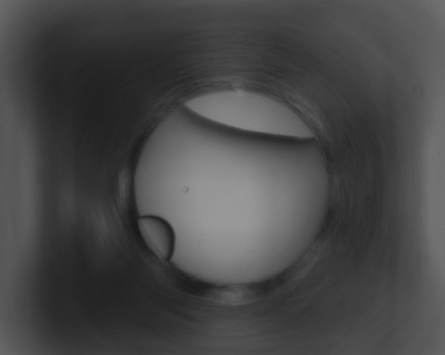 X0000100910118200806241059