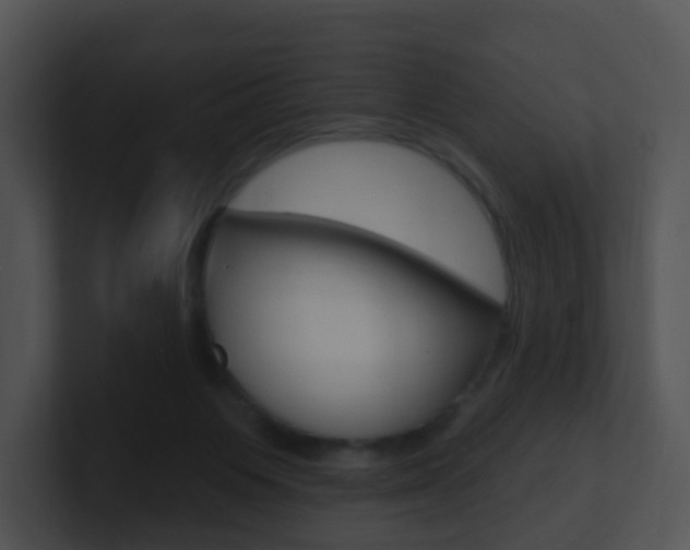 X0000100910119200806241059