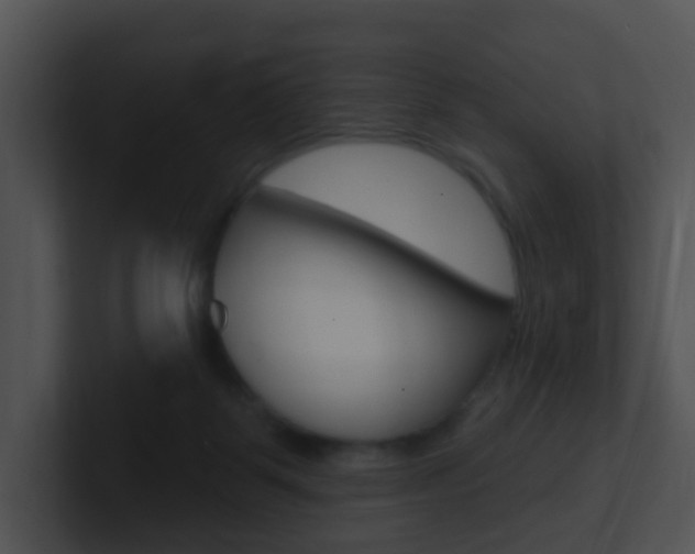X0000100910123200806241059