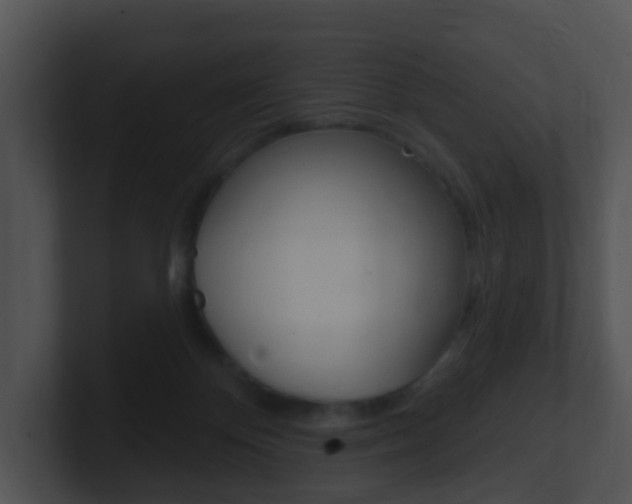 X0000100910124200806241059