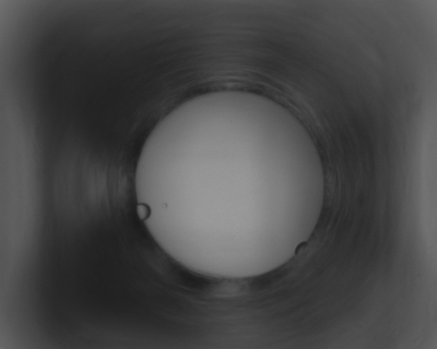 X0000100910126200806241059