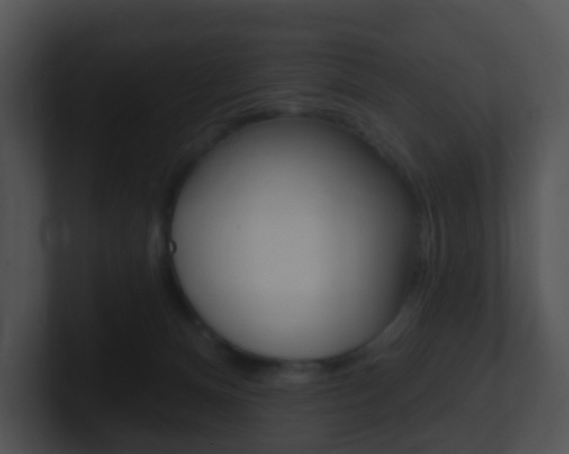 X0000100910128200806241059