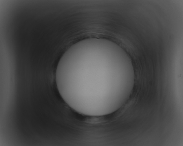 X0000100910129200806241059