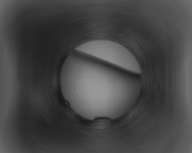 X0000100910131200806241059