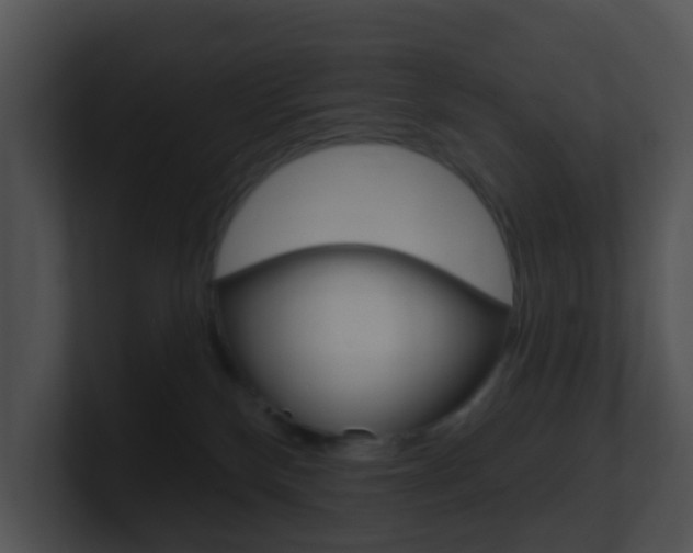 X0000100910136200806241058