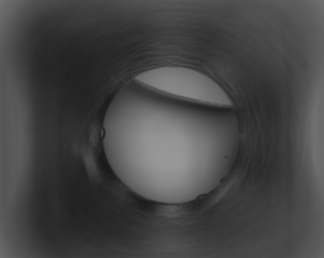 X0000100910139200806241058