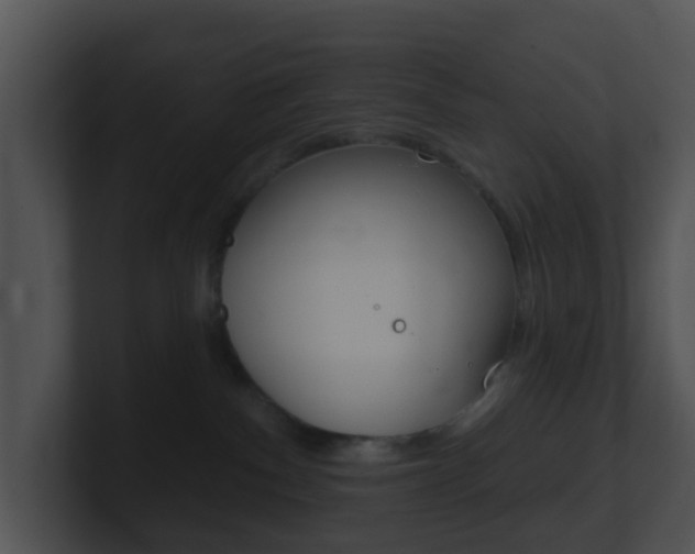 X0000100910140200806241058
