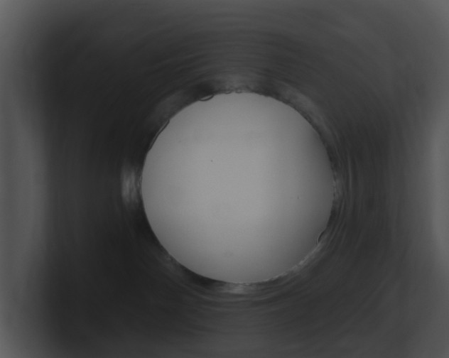 X0000100910142200806241058