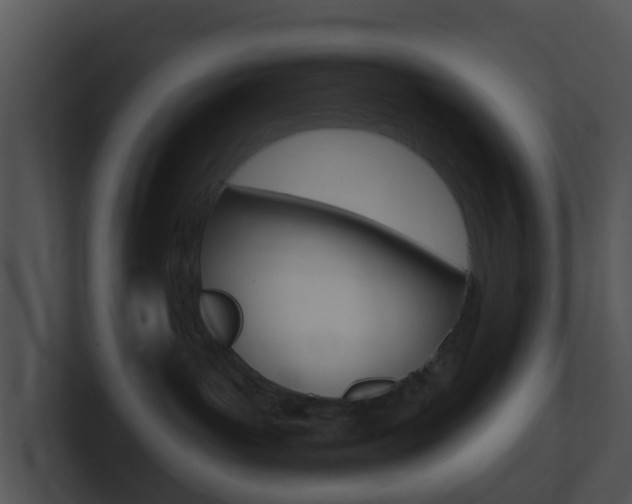 X0000100910143200806241058