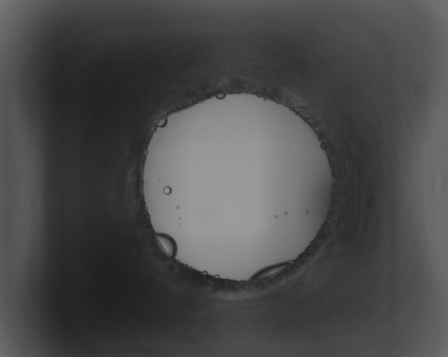 X0000100910144200806241058