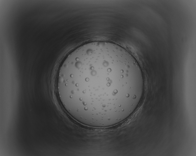 X0000100910145200806241058