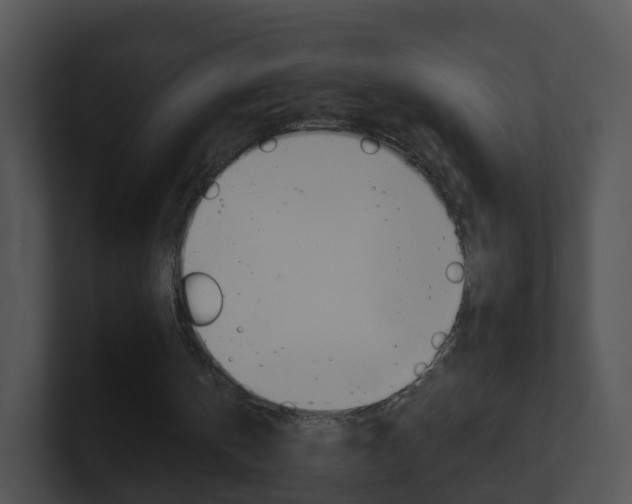 X0000100910146200806241058