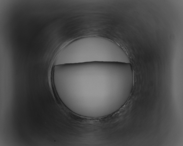 X0000100910147200806241058