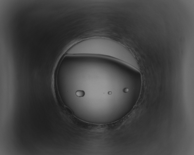 X0000100910148200806241058