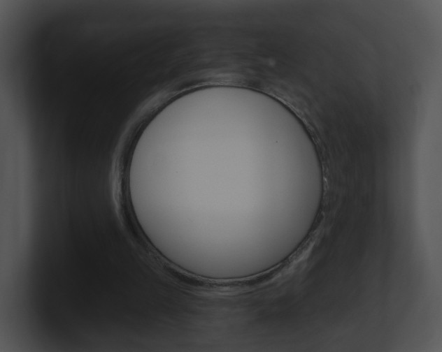 X0000100910149200806241058