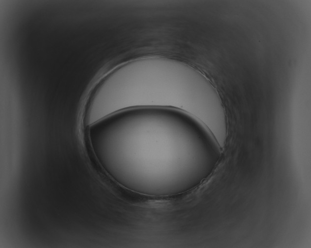 X0000100910150200806241058