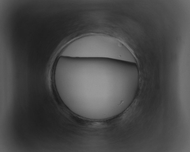 X0000100910151200806241058