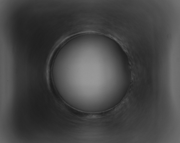 X0000100910152200806241058