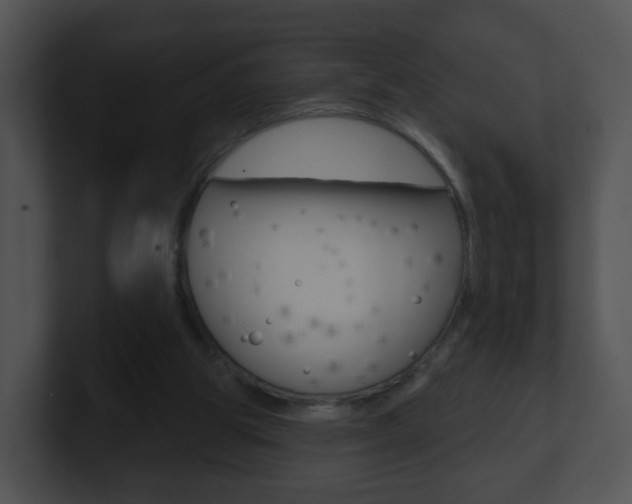 X0000100910153200806241058