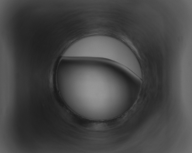 X0000100910154200806241058