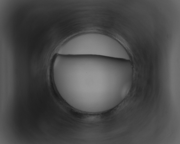 X0000100910155200806241058