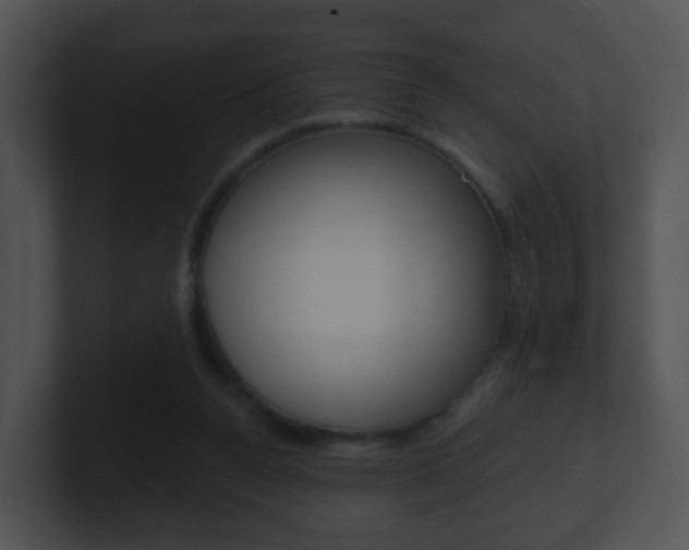 X0000100910160200806241058