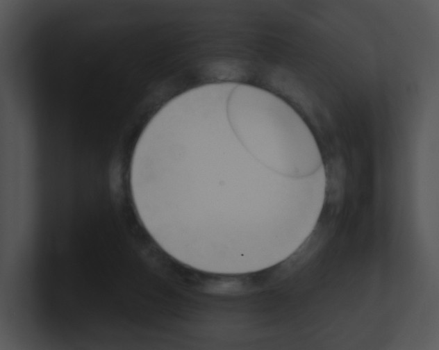 X0000100910162200806241058