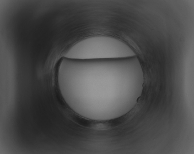 X0000100910163200806241058