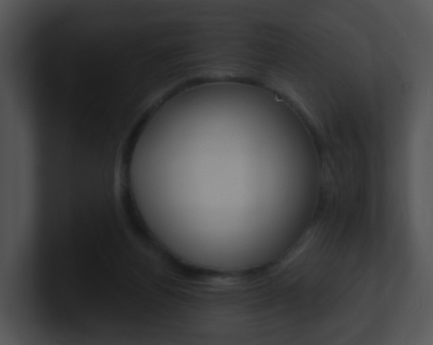 X0000100910164200806241058