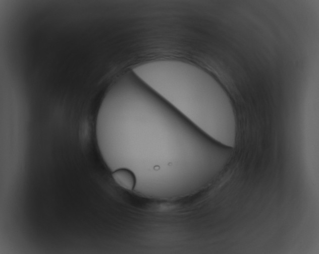 X0000100910165200806241058